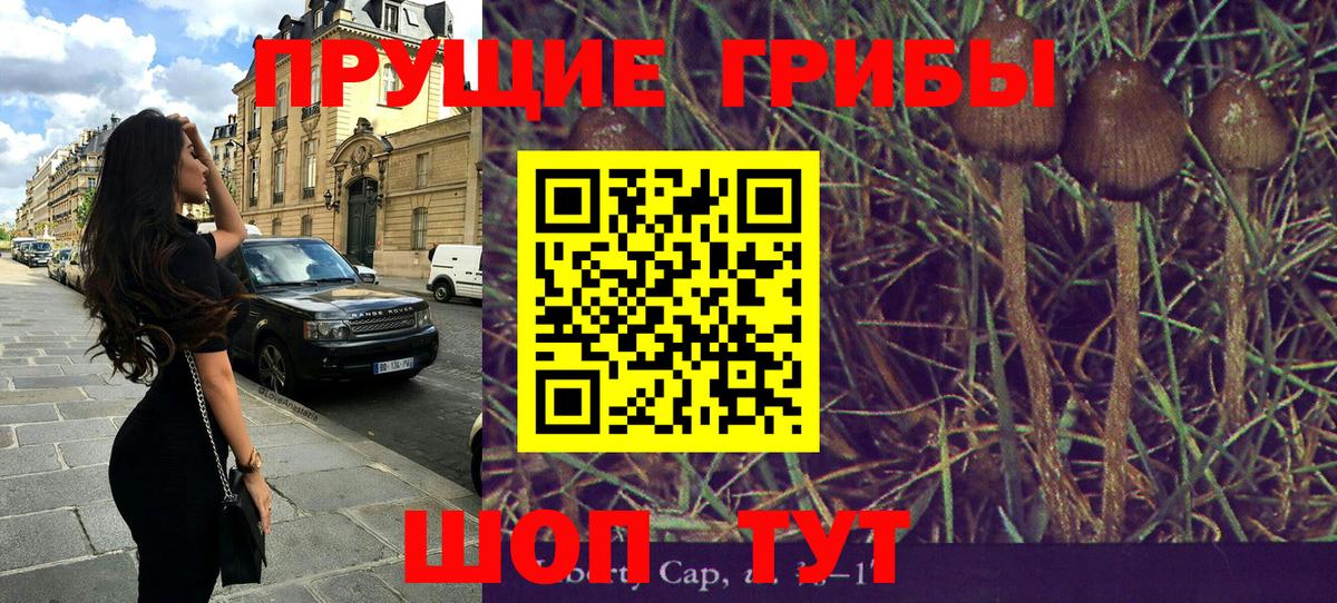 Галлюциногенные грибы MAGIC MUSHROOMS  Вход с VPN  Шатура 